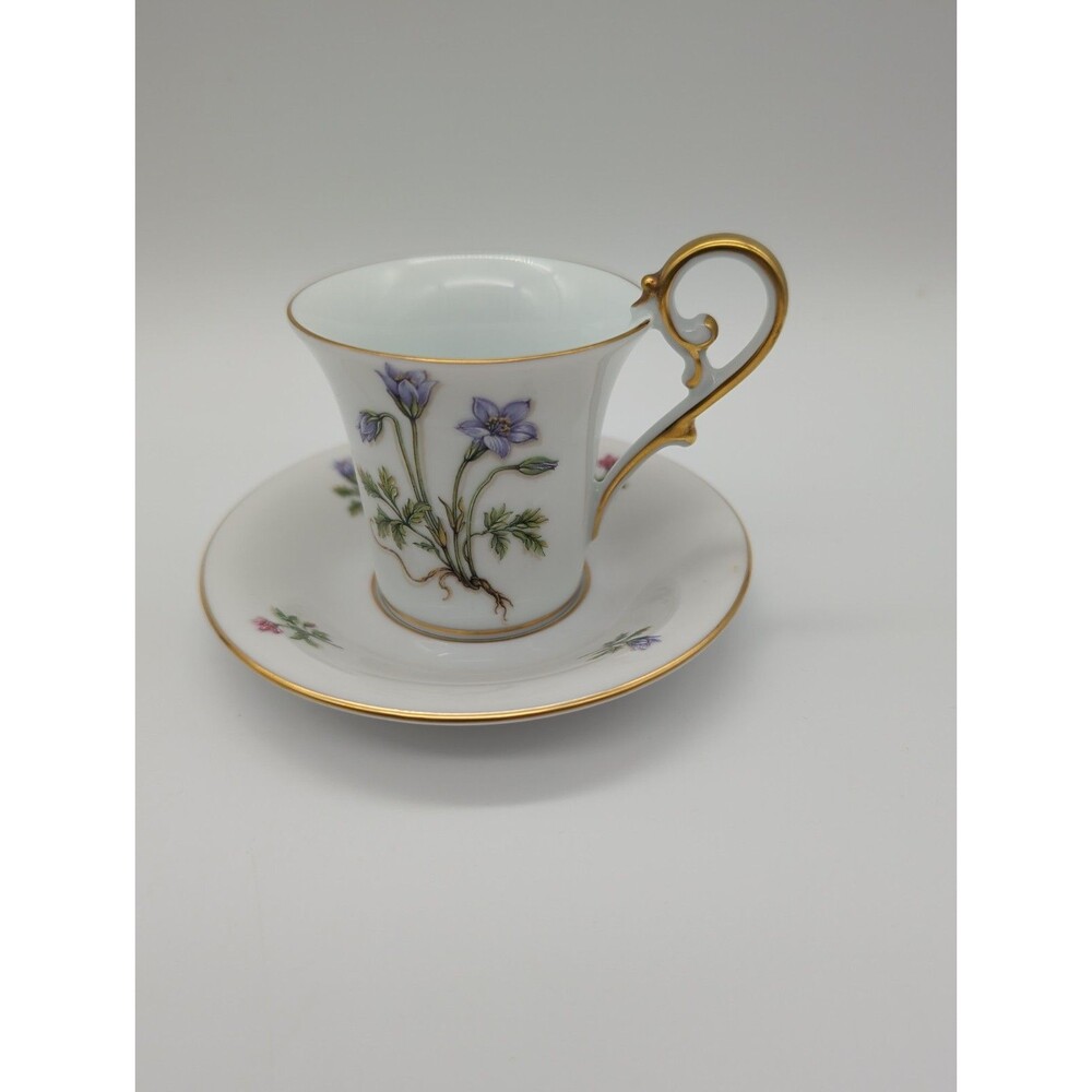AK Kaiser Germany Fidelo Demitasse Cup Saucer Purple Alpine Anemone Botanical